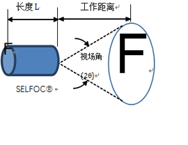 SELFOC® Imaging Lenses