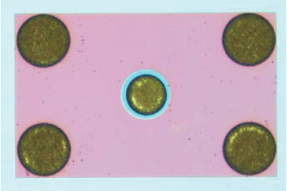 InGaAs Avalanche Photodiode 2.5 Gbps, Back-Illuminated(chip